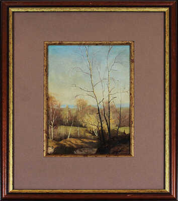 Каменев Лев Львович. Березки, освещенные солнцем. Этюд 